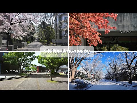 Four seasons of Chiba University