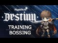 Maplestory hero bossing  training guide
