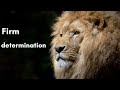 Firm determination  motivational in gujarati  only motivation 1552