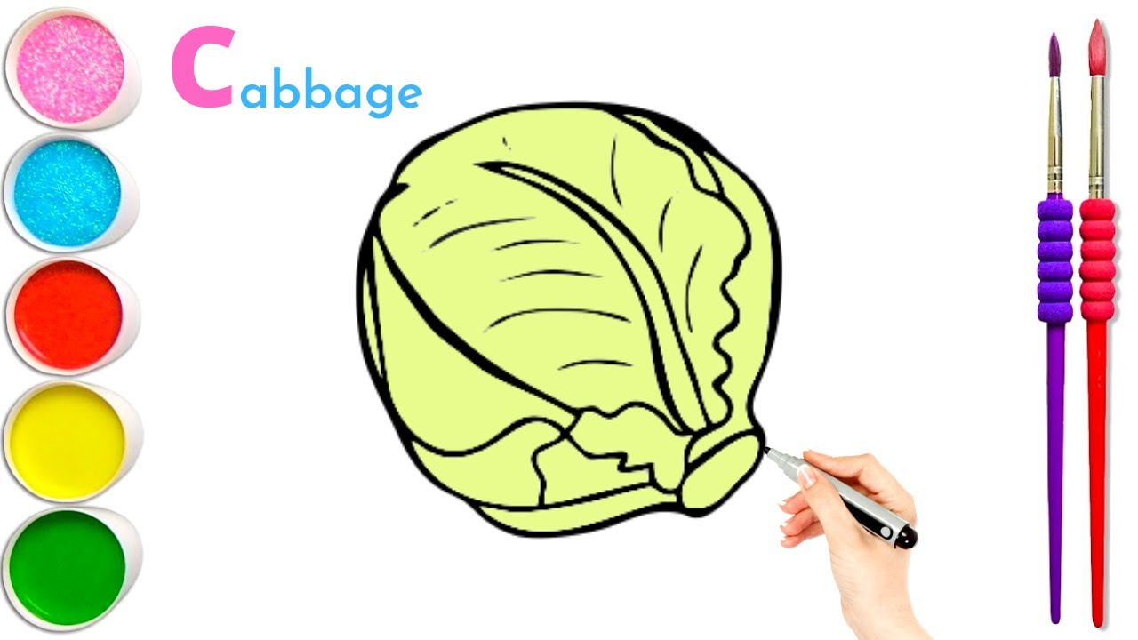 How to Draw Cabbage🥦| Vegetable drawing for Kids | Cabbage Art for Kids ...