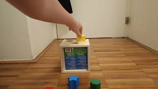 Wooden Shape Sorter Clip Compilation