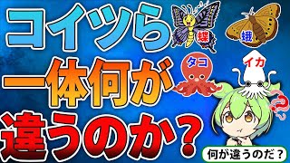 コイツらの正体は一体何が違うのか？【ずんだもん＆ゆっくり解説】