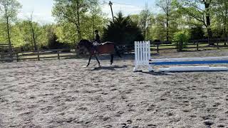 Working hunter flat class
