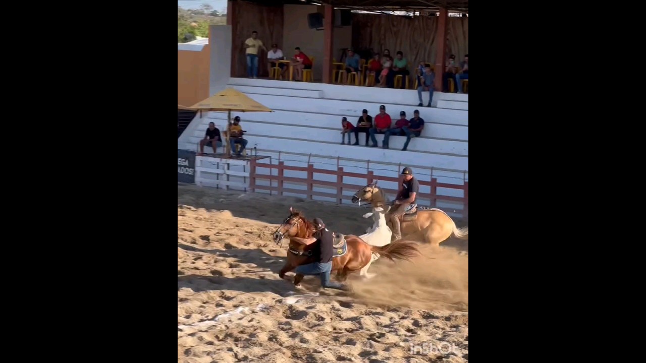 CAPA LOKA NATHAN QUEIROZ DANONE LÉO