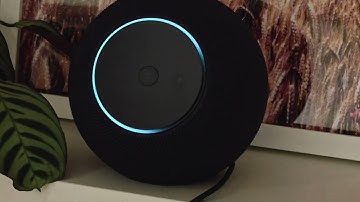 AMAZON ECHO STUDIO 2025 | TEST AUDIO | DO IT - INFRACTION MUSIC