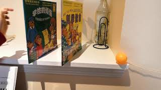 Physics: Plant Watering Rube Goldberg Machine!