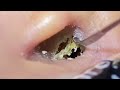 ASMR映像：見てるだけで耳がスッキリする動画