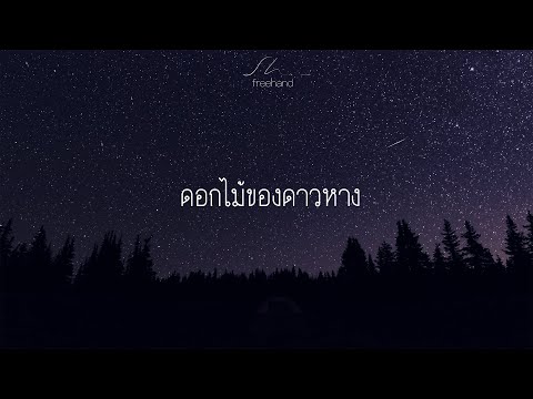 วีดีโอ: หางของดาวหาง