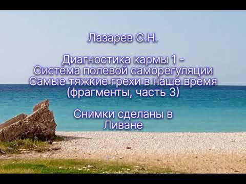 🕊Самые тяжкие грехи сегодня. Лазарев, из книги ДК 1- Система полевой саморегуляции (отрывки, ч.4)