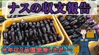 【ナスの収支報告】去年よりは売れたと思うが、まだまだ伸びしろのある野菜。