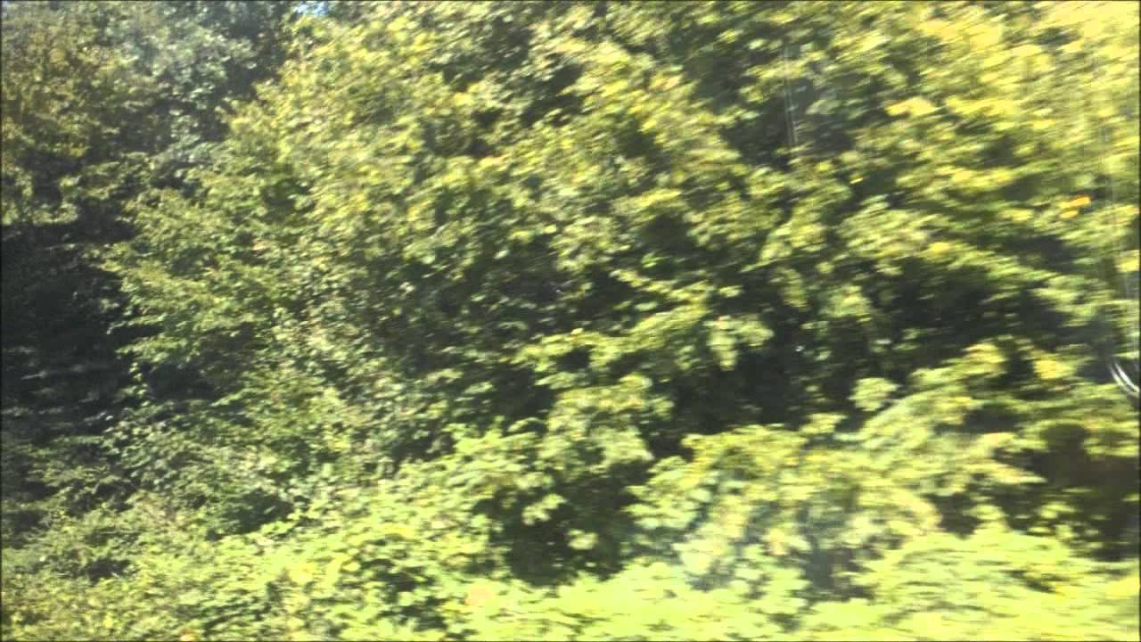 S-Bahn Hamburg: Mifahrt Diebsteich - Langenfelde - Stellingen Arena