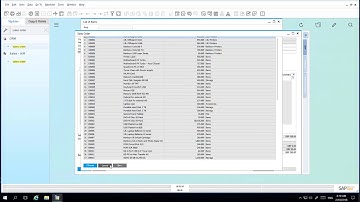 SAP Business One Configuring Form Names