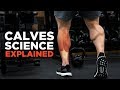 The Most Scientific Way to Train CALVES (Science Explained)