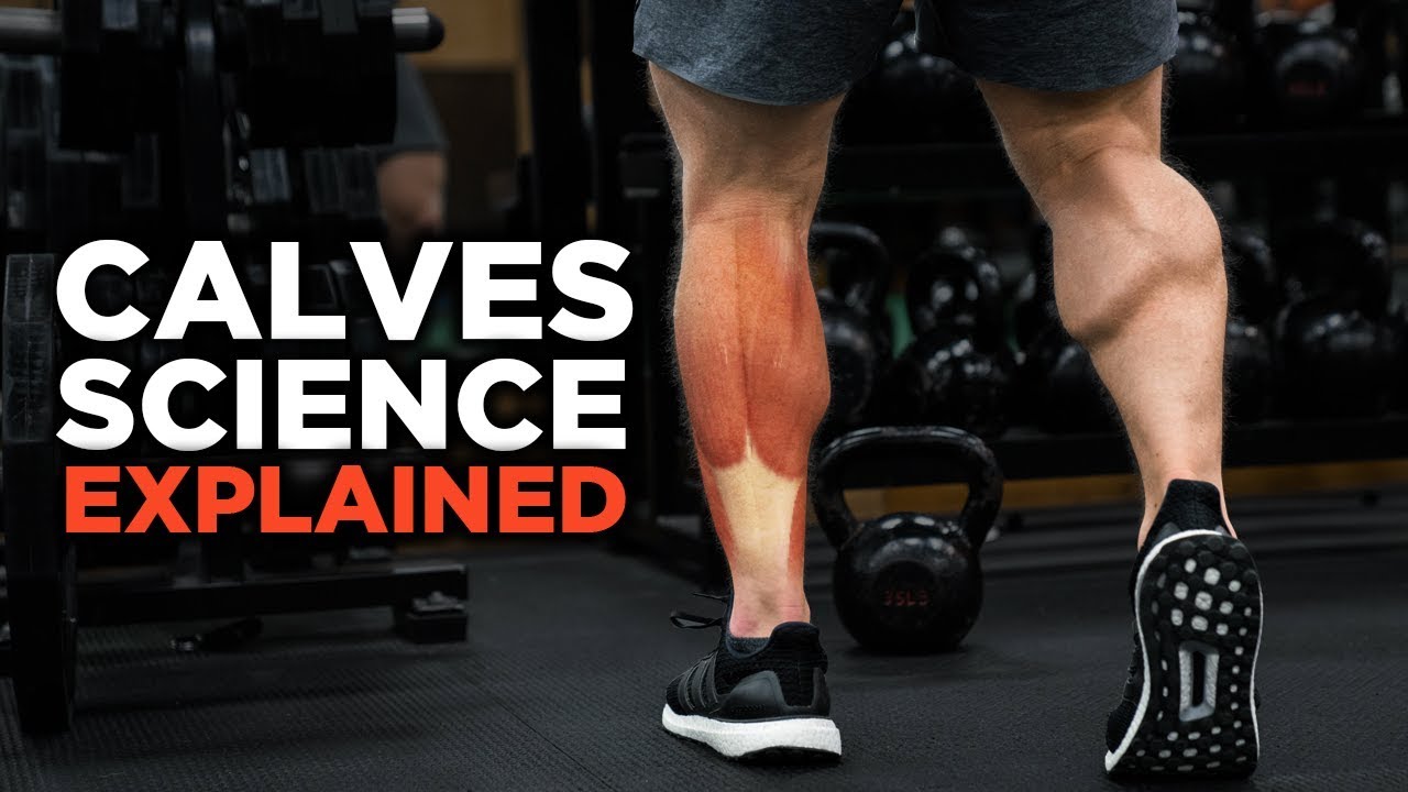 The Most Scientific Way to Train CALVES (Science Explained)