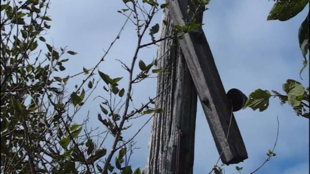 Insulator Hunting in Northern Illinois