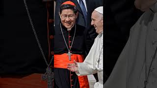 next pope After Pope Francis passed Away  #popes #popefrancis #nextpope