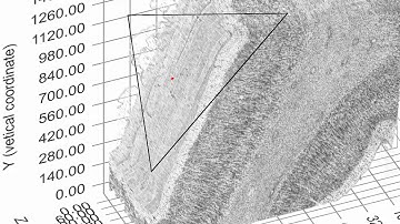 Human Visual Cortex 1mk 40sections