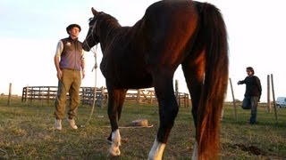 Video thumbnail of "Mi oficio de Domador | CONJUNTO IVOTÍ"