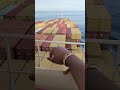 MSC ship 🚢🚢🚢🚢