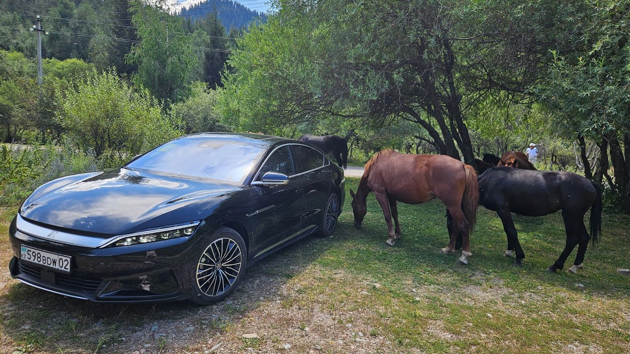 BYD Han - самый популярный седан за адекватные деньги