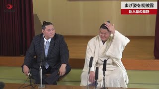 【速報】まげ姿を初披露 新入幕の草野