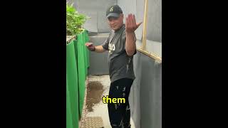 #Povison#funny#standupcomedy#podcast #music#youtube#foryou