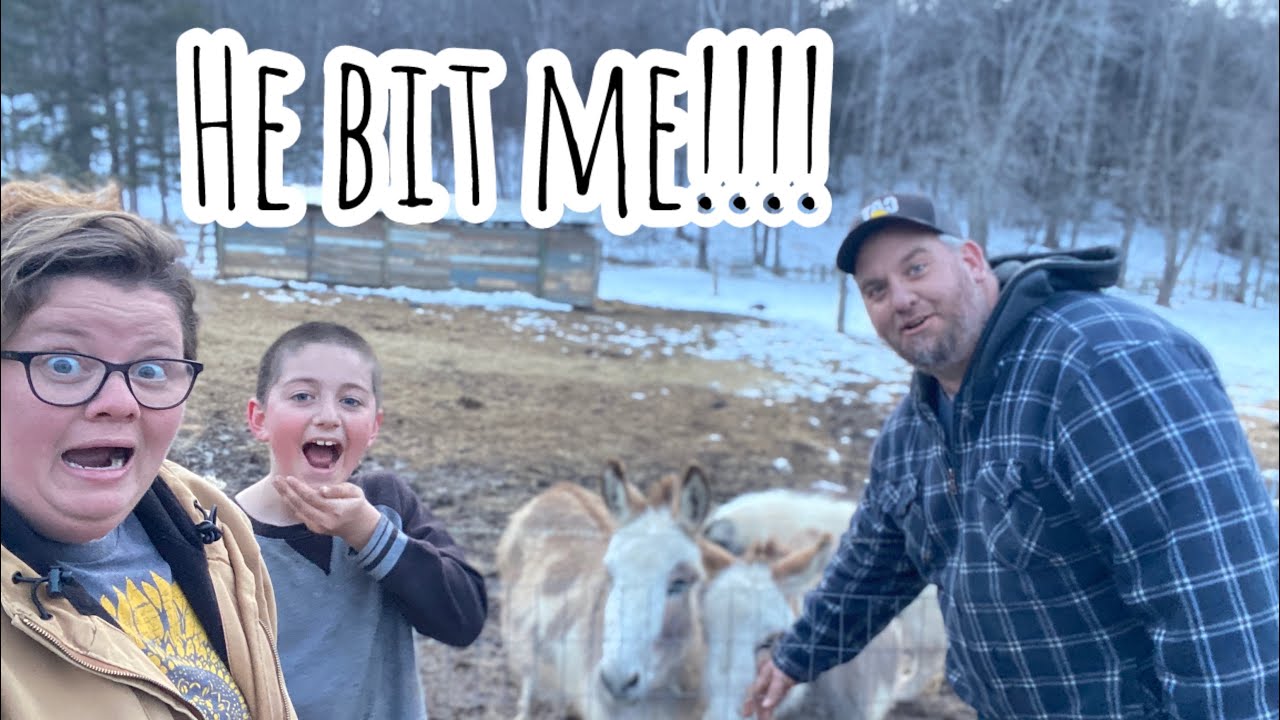 All the animals got a special treat & Larry got himself BIT….AGAIN🤣