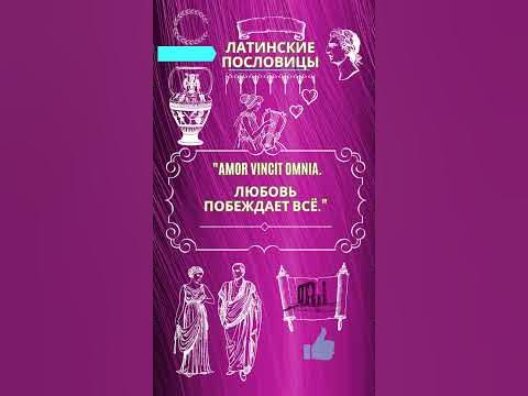 Цитата Латинские пословицы - YouTube