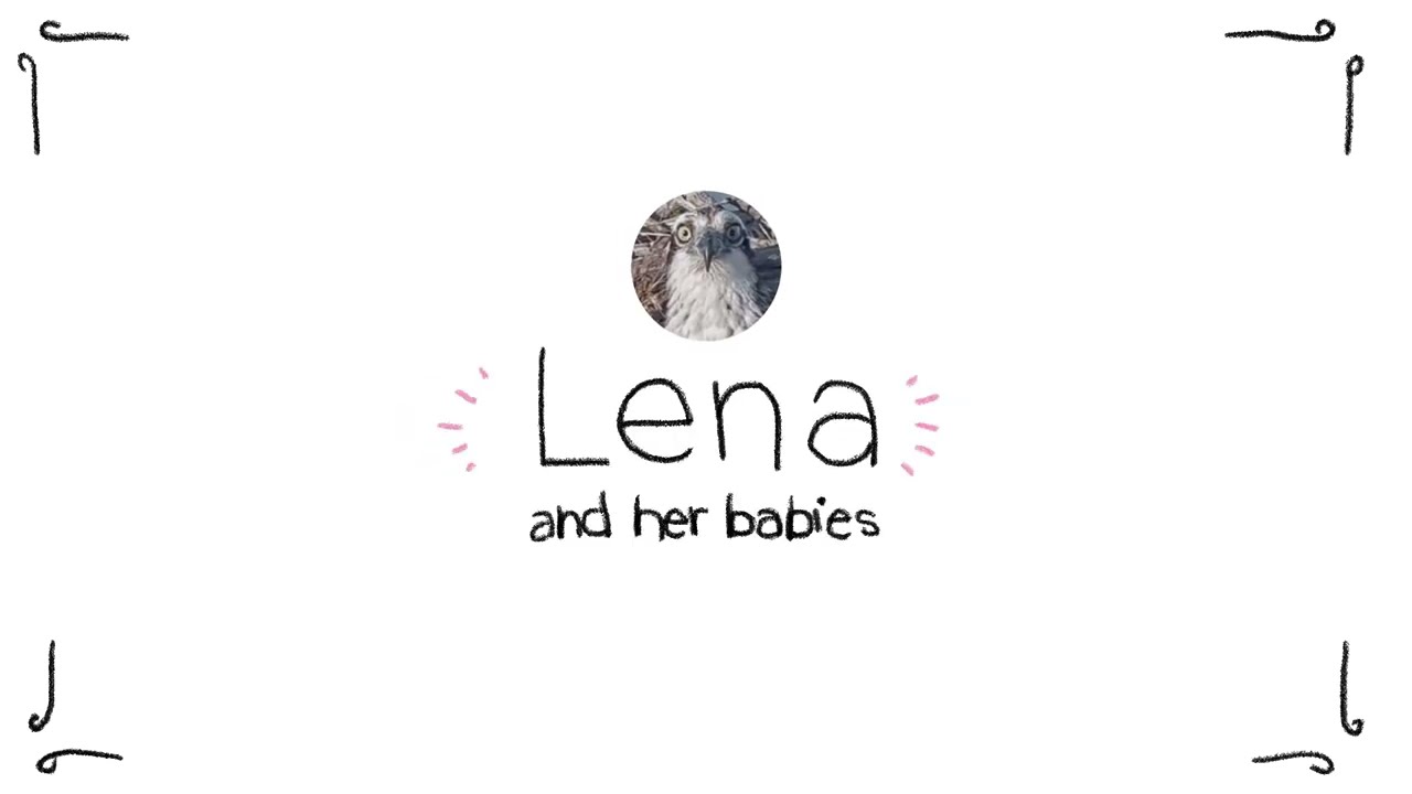 Lena and her babies - sneeze 🤧 Lena Andy Big Little and Mini