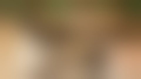 Bloom Plus 3000 4x4 Grow Reset