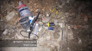נתפסה חוליית שודדי עתיקות סמוך לצומת גולני