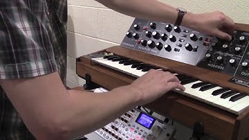 Focused Comparison of Behringer D vs Minimoog D