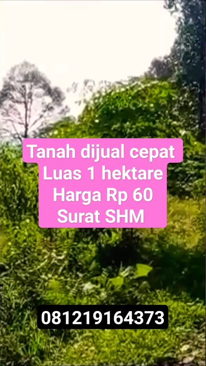 Tanah dijual Luas sehektaran harga Rp 60 - nego pinggir jalan aspal surat Shm #shorts