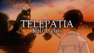 (AMV) Telepatia-KaworuxShinji lyrics