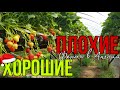 ХОРОШИЕ И ПЛОХИЕ фермы в Англии | Мой список ферм | Плюсы и минусы