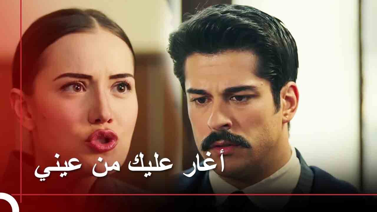 جن جنون كامل من شدة الغيرة |  طائر النمنمة