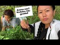 Gaule Jiban Aama Xori Kodoko Biu GoddaiрџЏ рџЏЎрџЏЎрџЊІрџЊІ SusmaChamling Bk7ek Gaule Jiban Aama Xori Kodoko Biu GoddaiрџЏ рџЏЎрџЏЎрџЊІрџЊІ SusmaChamling Bk7ek