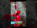 Earthquake Auger  Powerful Digging for Tough Ground