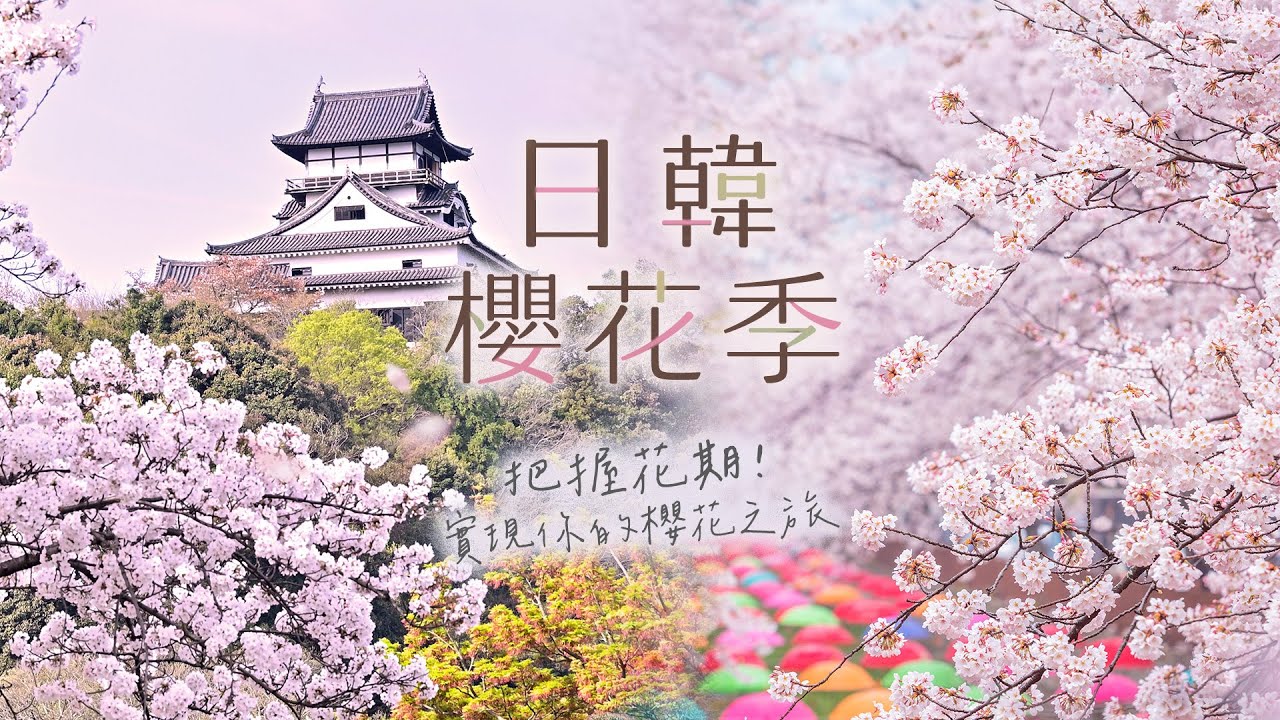 2026 日韓賞櫻｜吃好、住好、輕鬆賞櫻