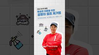 건설 고수의 꿀팁｜뽀송한 여름을 위한 곰팡이 셀프 제거법