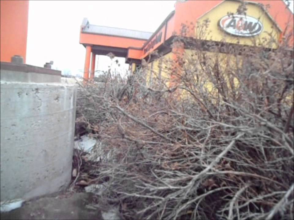 A&W drive thru prank