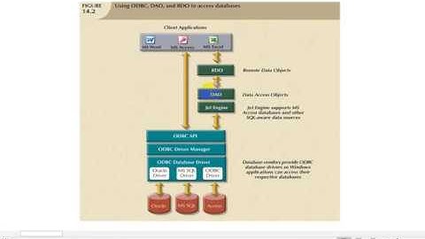 Semistructured Data & Database Connectivity (Undergraduate)