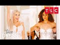 Best Dresses Over $10K Full Episode | Say Yes to the Dress | TLC