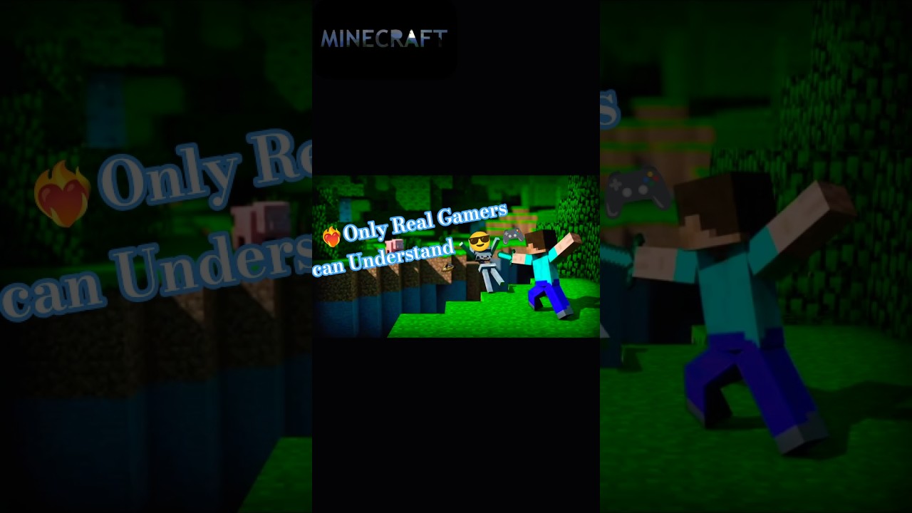 Only Real Gamers can Understand 😎🎮