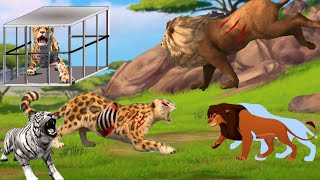 Simba the Lost Lion in the Eastern Forest | Simba the Lion King of the Jungle Cartoon | Dida's Tales