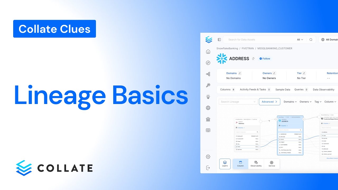 Collate Clues: Data Lineage Basics Collate Clues: Data Lineage Basics
