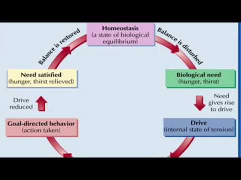 Informative Essay On Auto Insurance Informative Essay On Auto Insurance