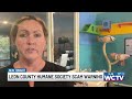‘People come in crying’: Leon County Humane Society reports at least 7 victims of lost pet scam
