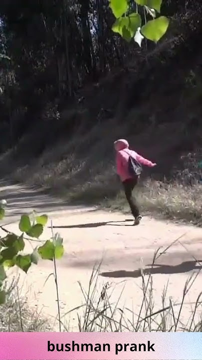 bushman pranks , best of bushman prank , bushman scare prank, bushman ...
