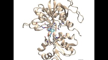 Molecular dynamics simulation of CGP-78608 bound to the GluN1 NMDA receptor agonist binding domain
